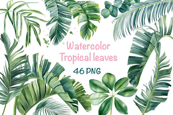 Download Watercolor Bundle tropical leaves