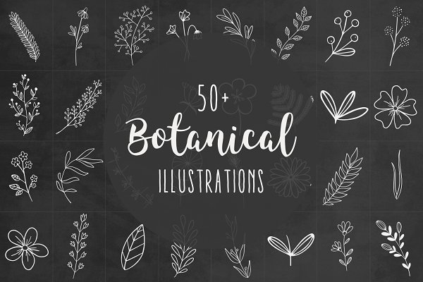 Download 50+ Botanical Illustrations