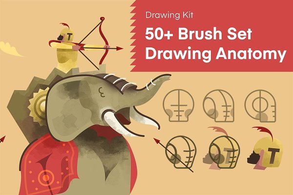 Download 50+ Brush Set Drawing Anatomy