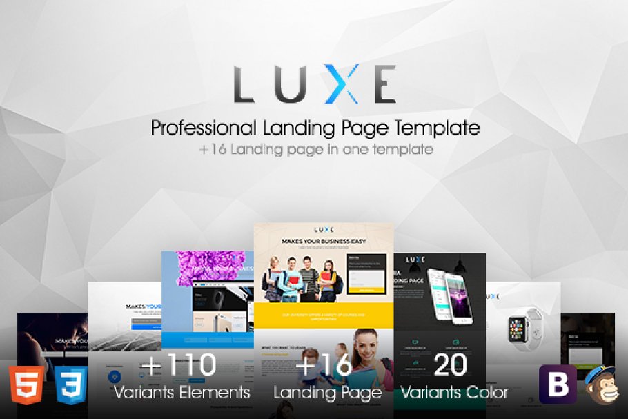 Download LUXE // MultiPurpose Landing Pages