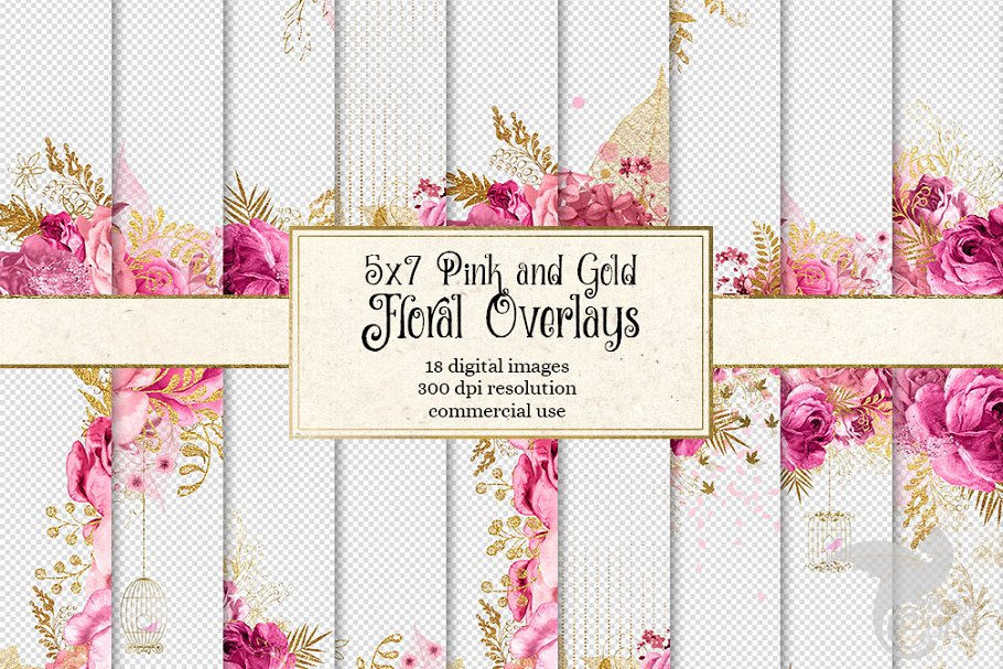 Download 5x7 Pink and Gold Floral Overlays