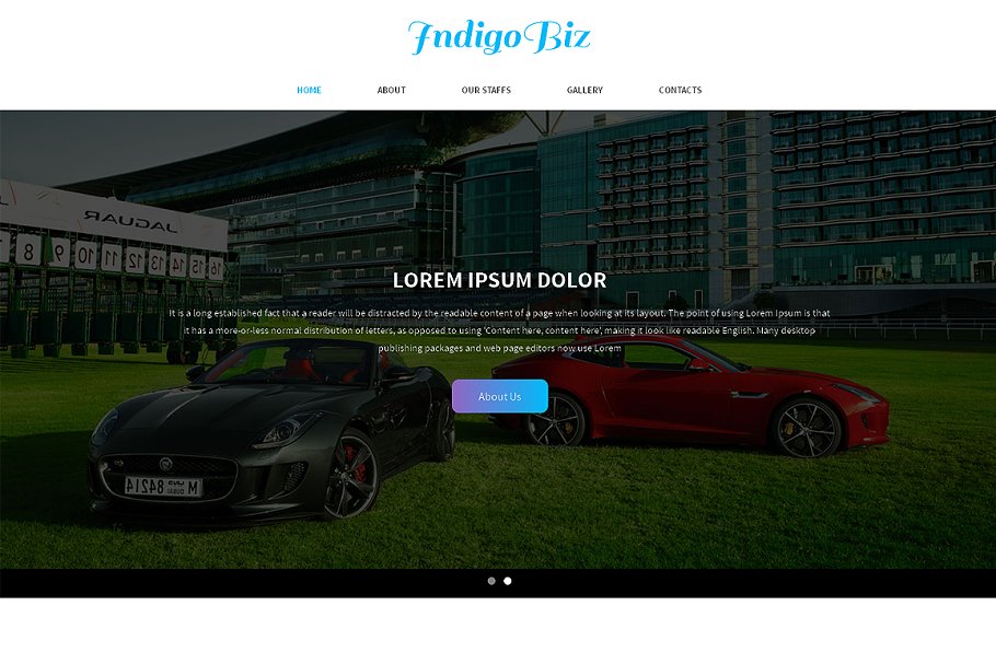 Download Indigo Biz Responsive One Page Theme