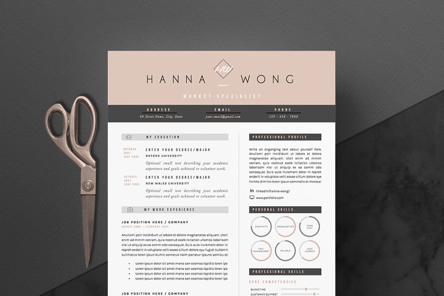 Download 5 page Resume Template | Skinny