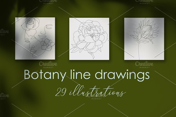 Download Botanical Line illustrations