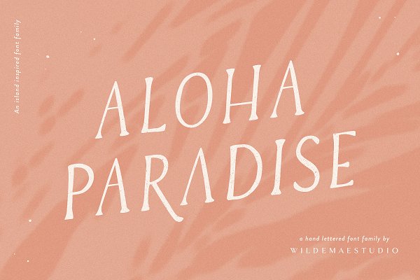Download Aloha Paradise Serif Font Family