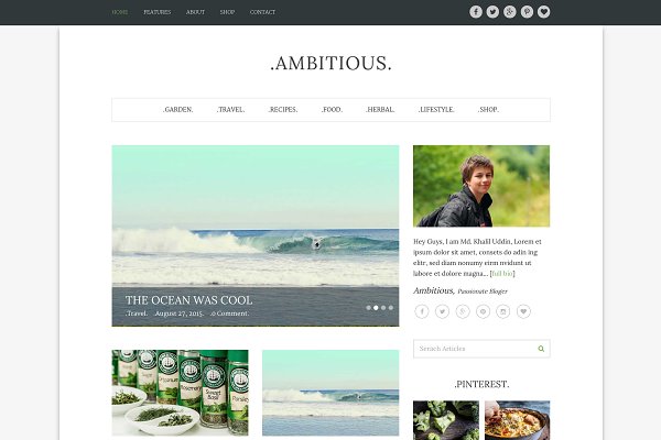 Download Ambitious-Multi WordPress Blog Theme