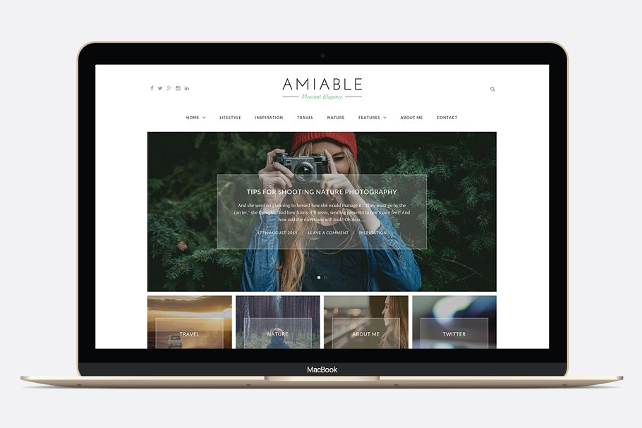 Download Amiable - A WP Blogging Theme