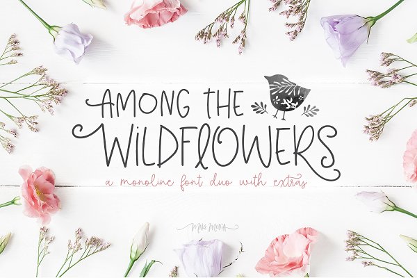 Download Among The Wildflowers | Font Duo