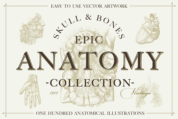 Download 100+ Vintage Anatomy Vectors