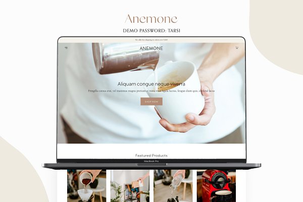 Download Anemone - Clean Shopify Theme