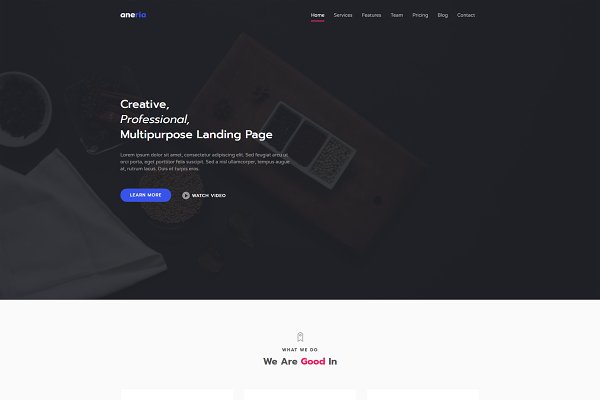 Download Aneria - Landing Page Template