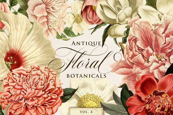 Download Antique Floral Botanical Graphics 4