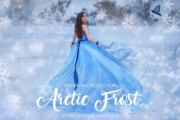 Download Artic Frost Photoshop Overlays