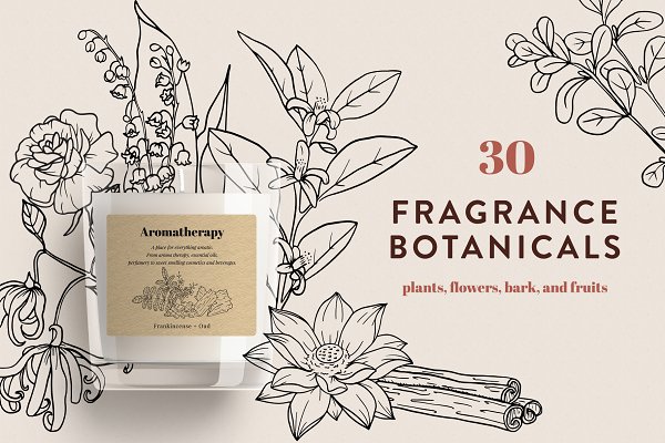 Download Fragrance Botanicals | 30 designs