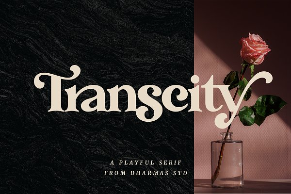 Download Transcity - A Playful Serif