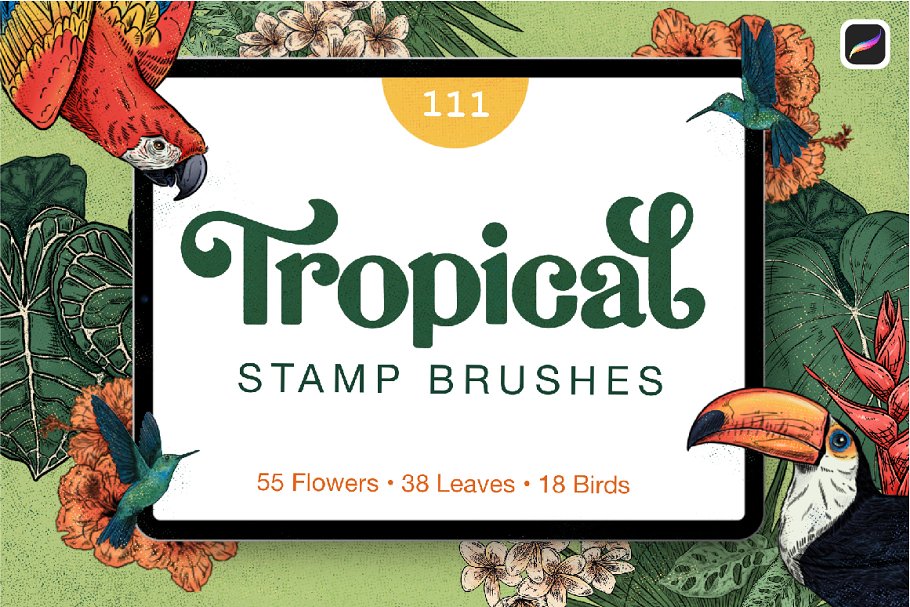Download Tropical Stamp Brushes for Procreate