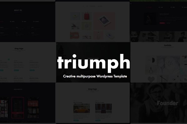 Download Triumph - Creative WordPress theme