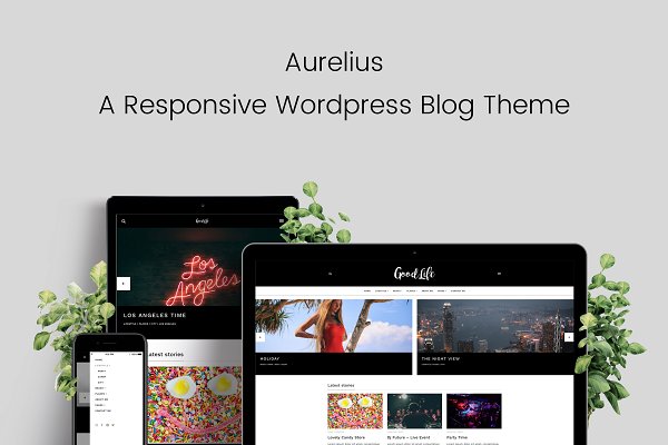 Download Aurelius Responsive Wordpress Blog