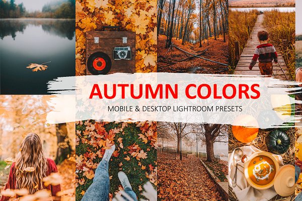 Download Autumn Lightroom & Mobile Presets