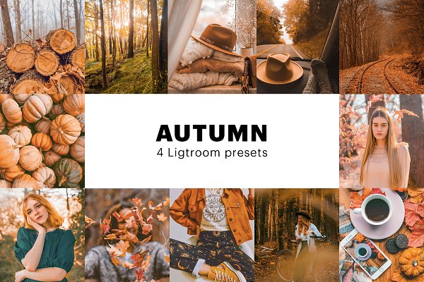 Download 4 Autumn Lightroom Presets