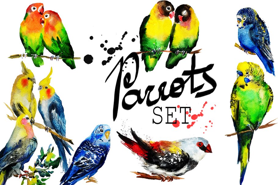 Download Set of watercolor parrot
