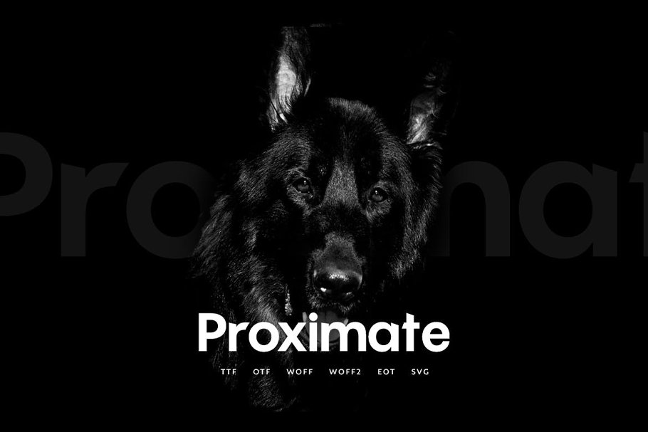 Download Proximate - Modern Typeface