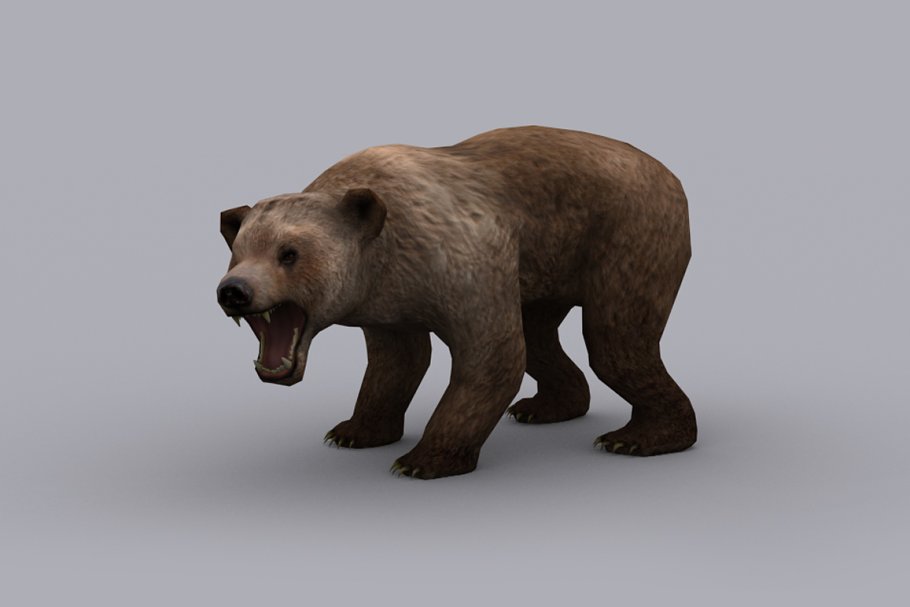 Download BEAR with Native File