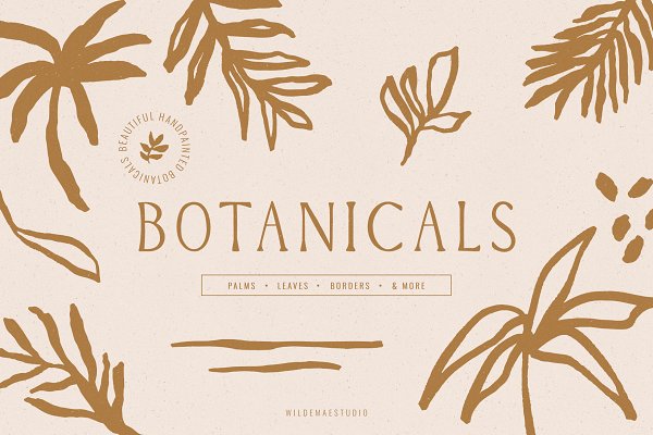 Download Handpainted Botanical Illustrations