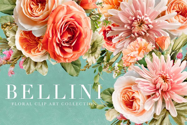 Download Bellini Floral Clip Art Collection