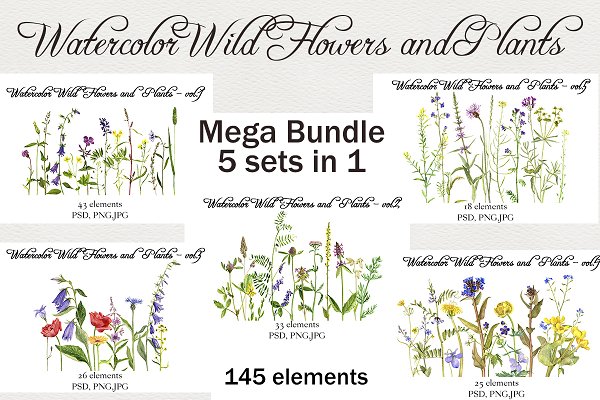 Download Watercolor Flowers and Plants Bundle