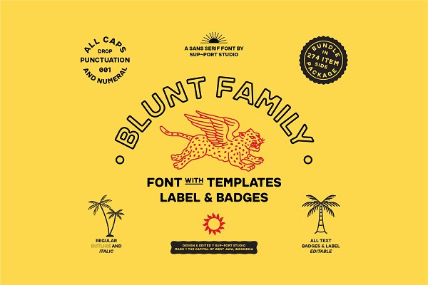 Download Blunt Family Font & Template OFF 25%