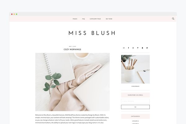 Download Responsive Wordpress Theme- Blush