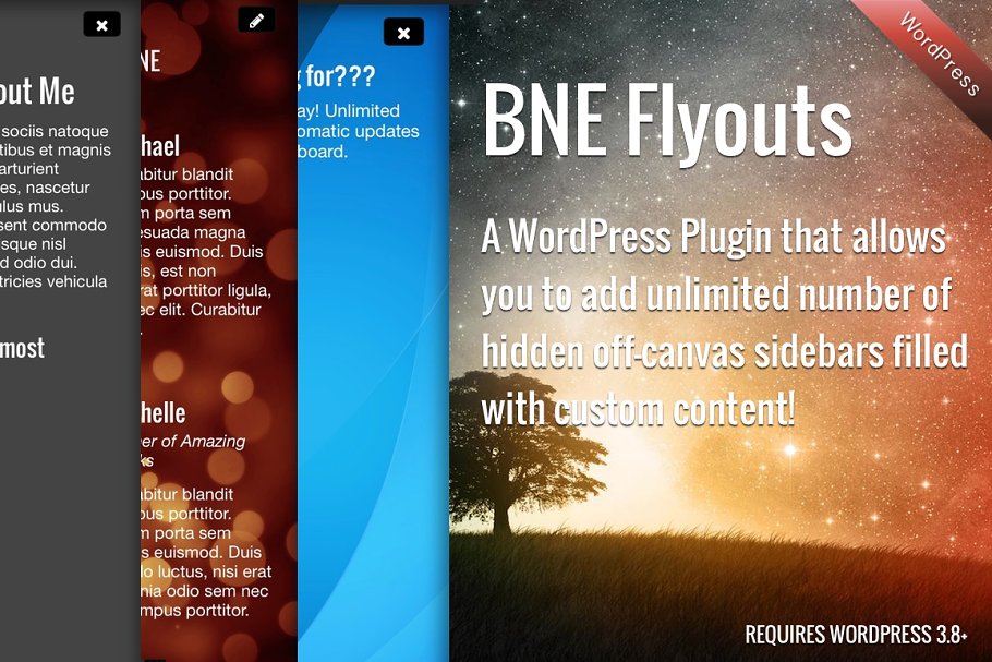 Download Flyout Custom Content for WordPress