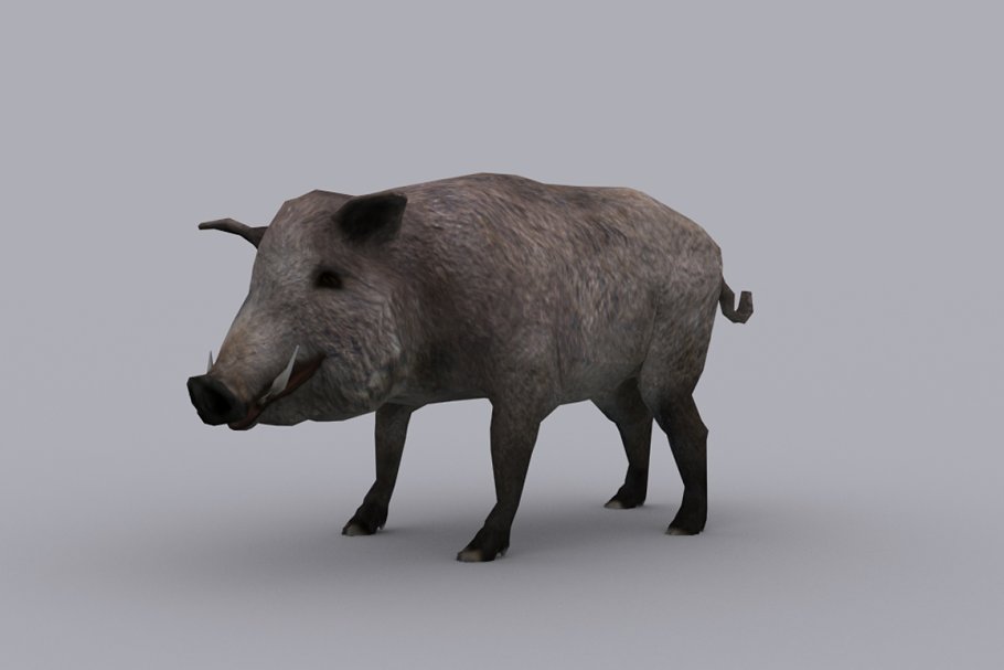 Download BOAR with Native File