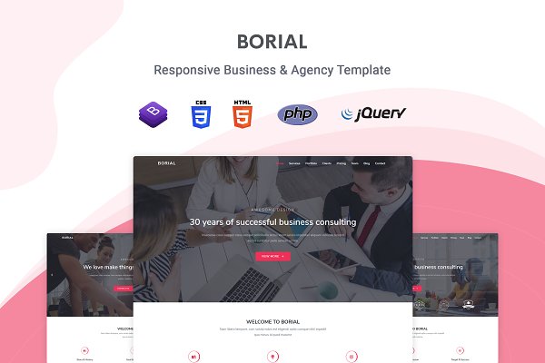 Download Borial - Business & Agency Template