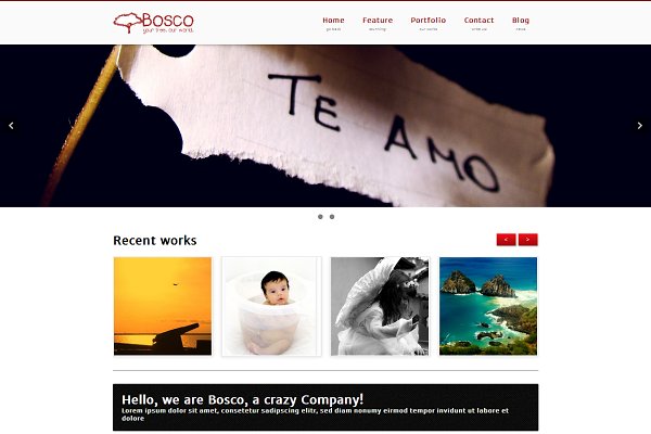 Download Bosco - multipurpose Portfolio/Blog