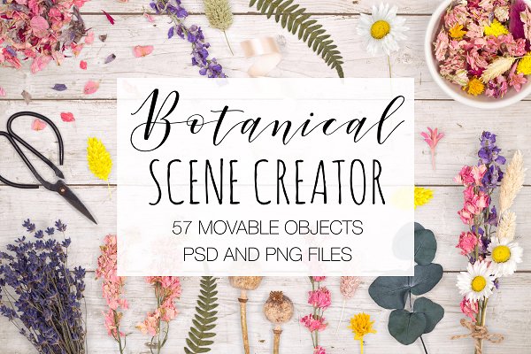Download Botanical Scene Creator