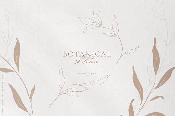 Download Botanical Sketches Modern Clip Art