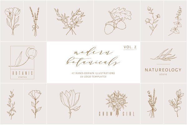 Download Vol. 2 Botanical hand - drawn logos
