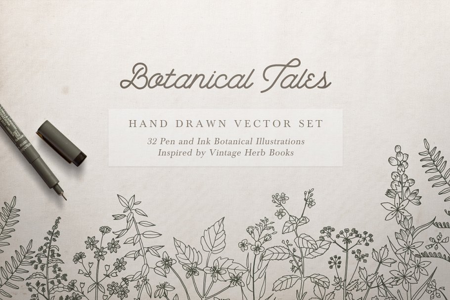 Download Botanical Illustrations Vector Set