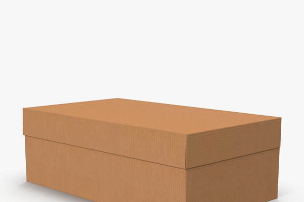 Download Cardboard Shoe Box Low-Poly