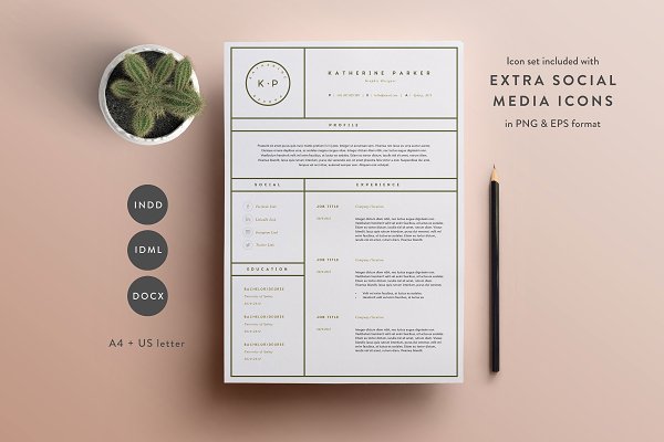 Download Resume Template 3 Page