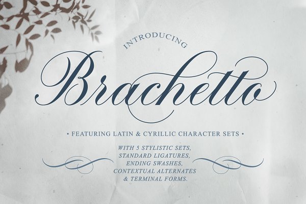 Download Brachetto Script Font