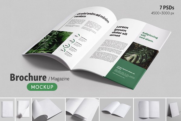 Download Brochure / Magazine Mockups