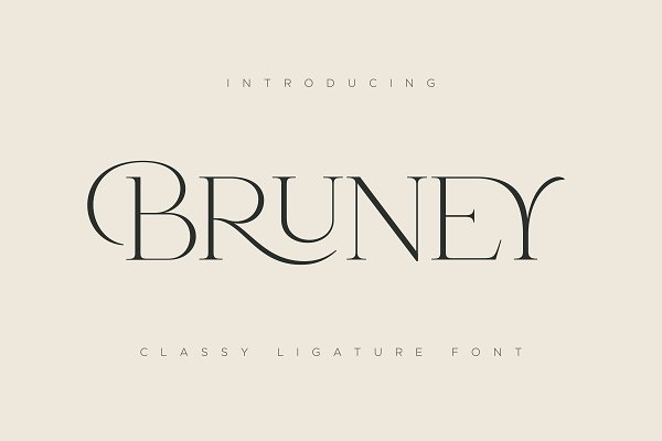 Download Bruney - Classy Ligature Font