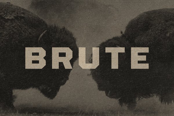 Download Brute