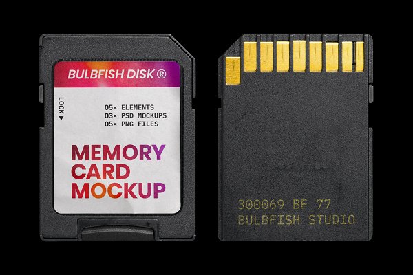 Download Memory Card Mockup