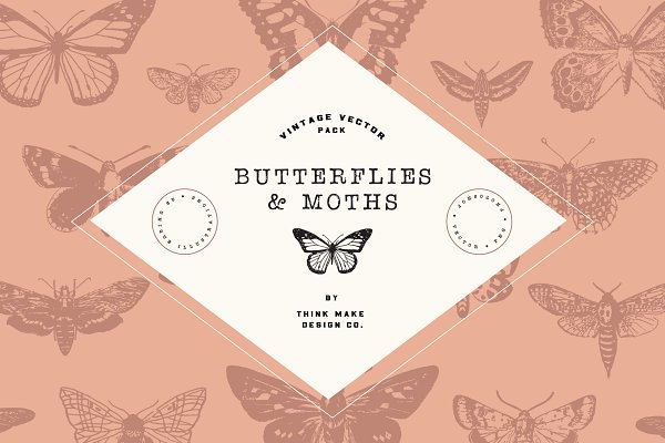 Download Vintage Vector: Butterflies & Moths