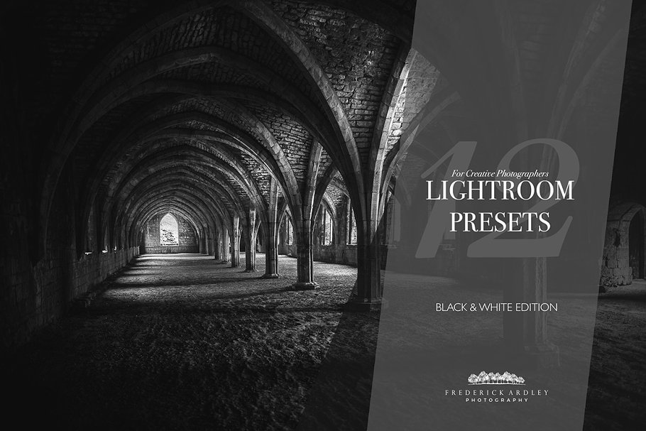 Download 12 Lightroom Presets: Black & White