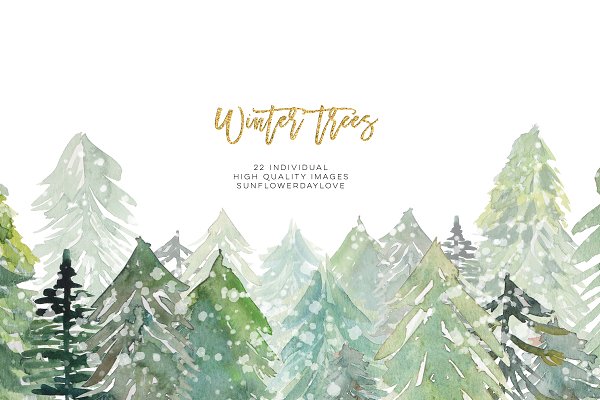 Download Conifer Forest Trees clipart